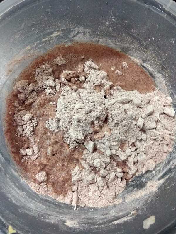 Ragi Roti