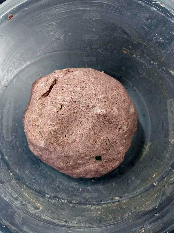 Ragi Roti